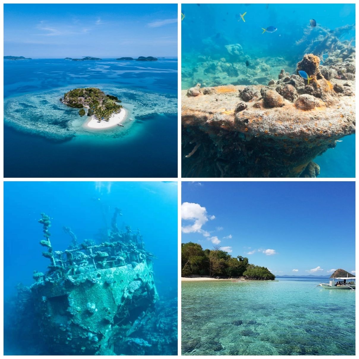 Reefs and Wrecks Tour